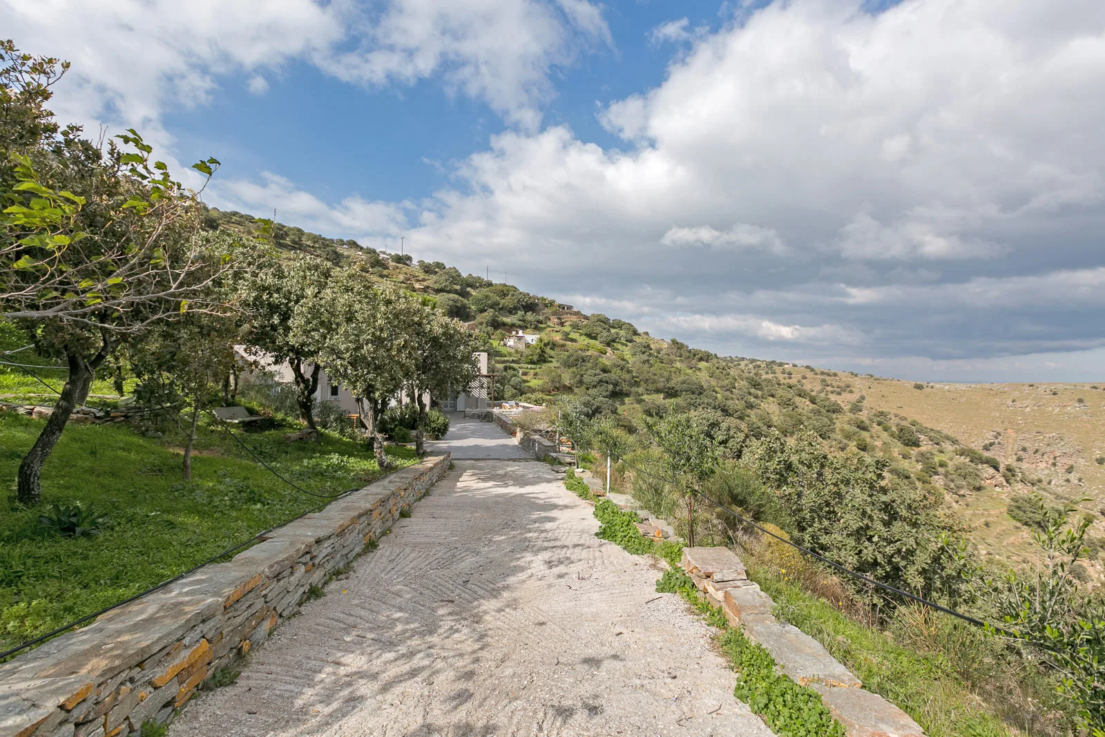 connections by ioanna symeonidou